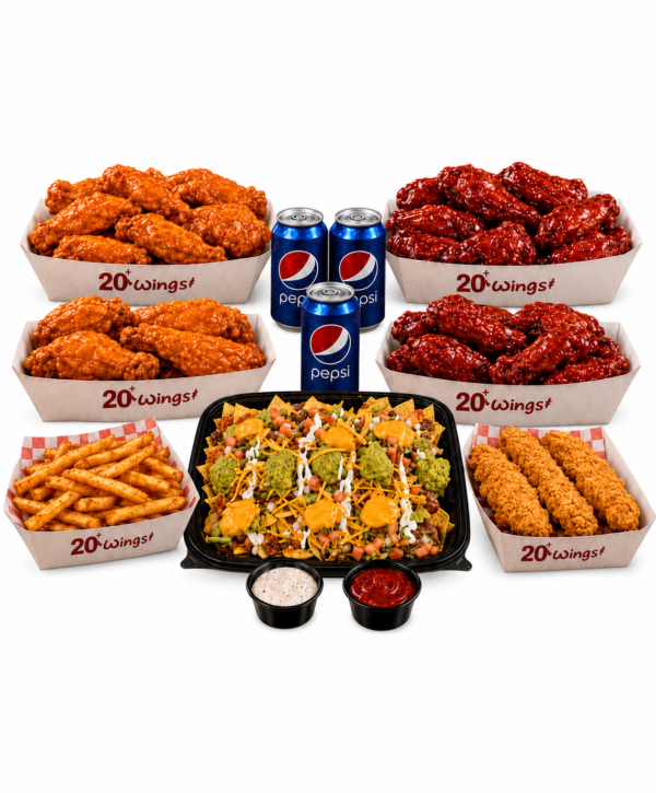COMBO USA 25 WINGS